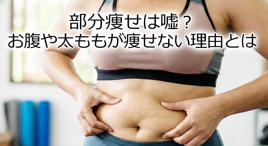 部分痩せは嘘？お腹や太ももが痩せない理由と部分痩せの科学と正しいダイエット